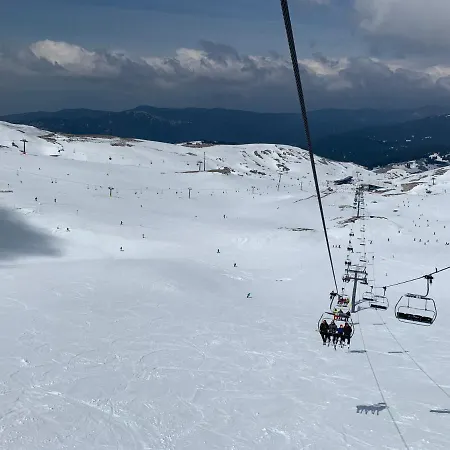 Agoriani Art - Sweet Little