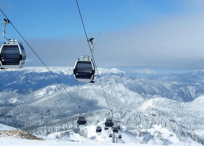 Agoriani Art - Sweet Little *